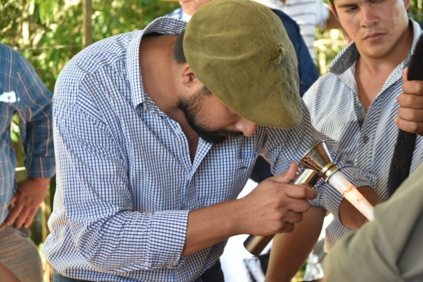 Fortalecen la producción ovino caprina en la provincia 4 8 - produccion ovina caprina 1 - 7