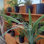 Comenzó la Feria Provincial de Turismo en la costanera de Posadas 12 24 - Comenzo 13 - 23