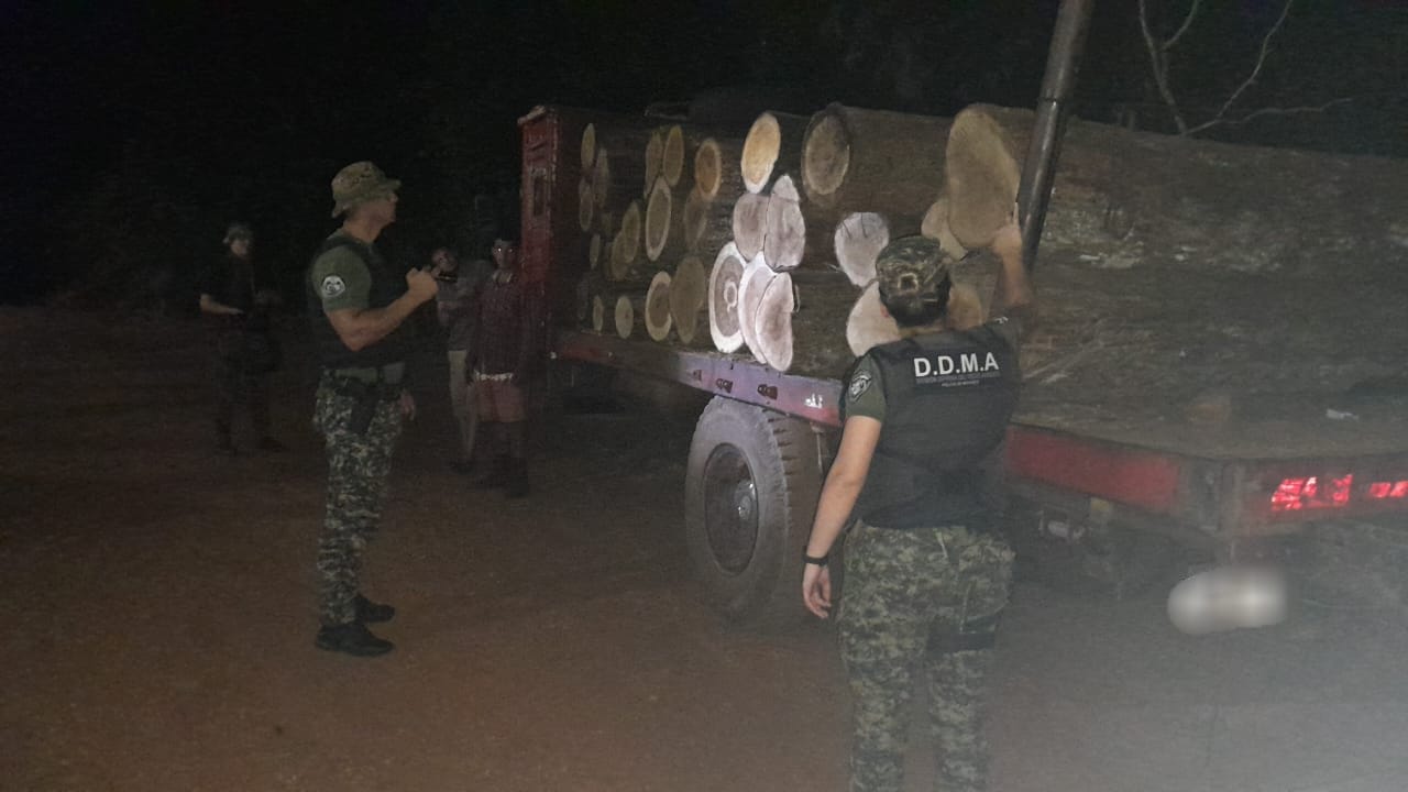 Secuestraron un cargamento de madera nativa robada: hay dos detenidos