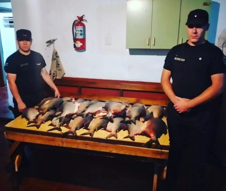 San José: robó 35 pescados de un campo y fue detenido cuando intentaba huir