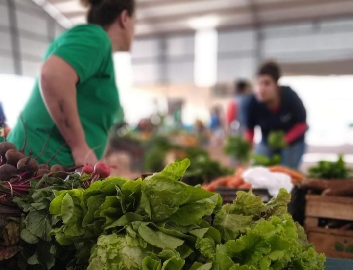 Este miércoles realizarán el paseo comercial 