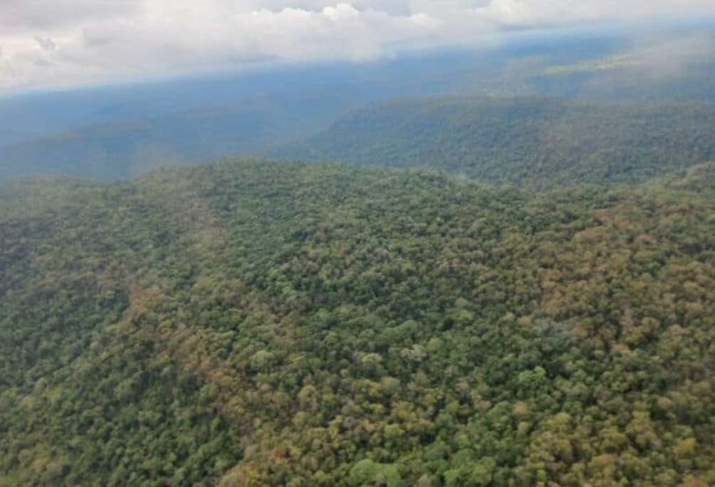Tras las lluvias, el riesgo de incendios es bajo en Misiones