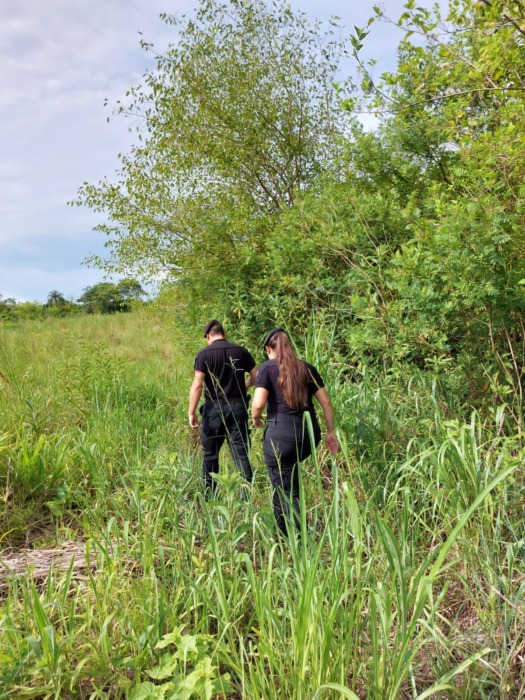 busqueda de fabricio 2 - 3