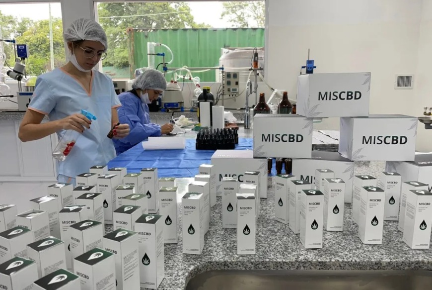 Entregaron las primeras dosis de cannabis medicinal producidas en Misiones