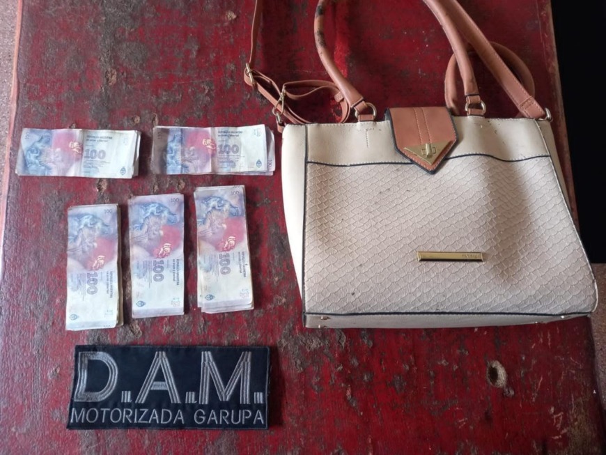 ladrones detenidos 4 - 7