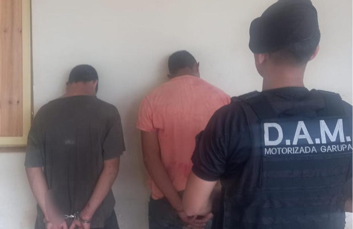 ladrones detenidos