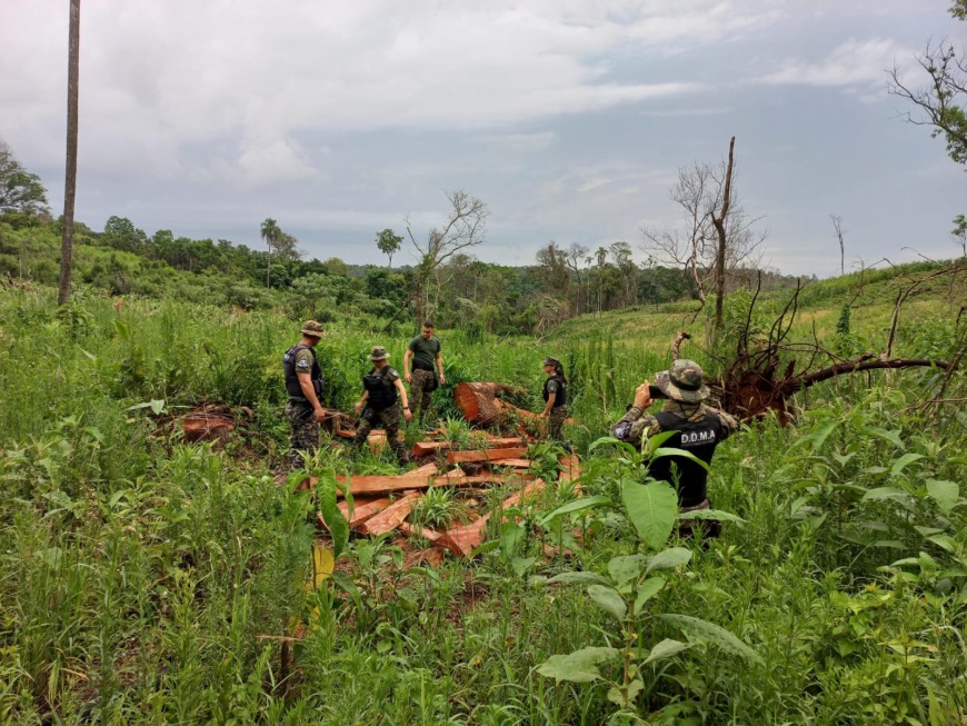 Frustraron el robo de madera nativa en un campo de San Pedro