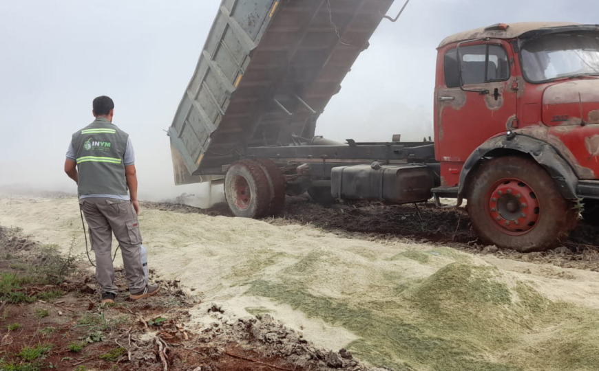 Yerba mate: en INYM intervino e inutilizó 26 toneladas de palitos y palo molido