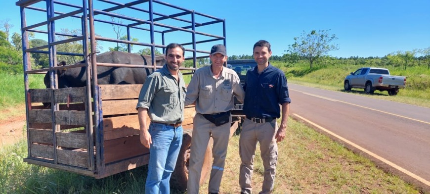 toros lecheras 3 - 3