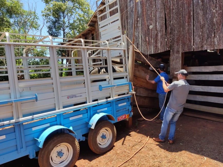 toros lecheras 4 - 5