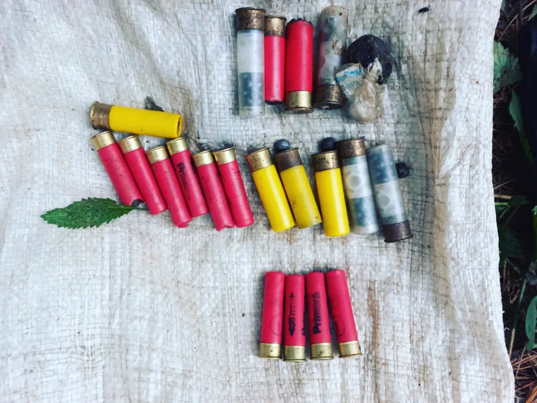 San Pedro: detuvieron a tres cazadores furtivos y desmantelaron su campamento  1 2 - cazadores furtivos 1 1 - 1