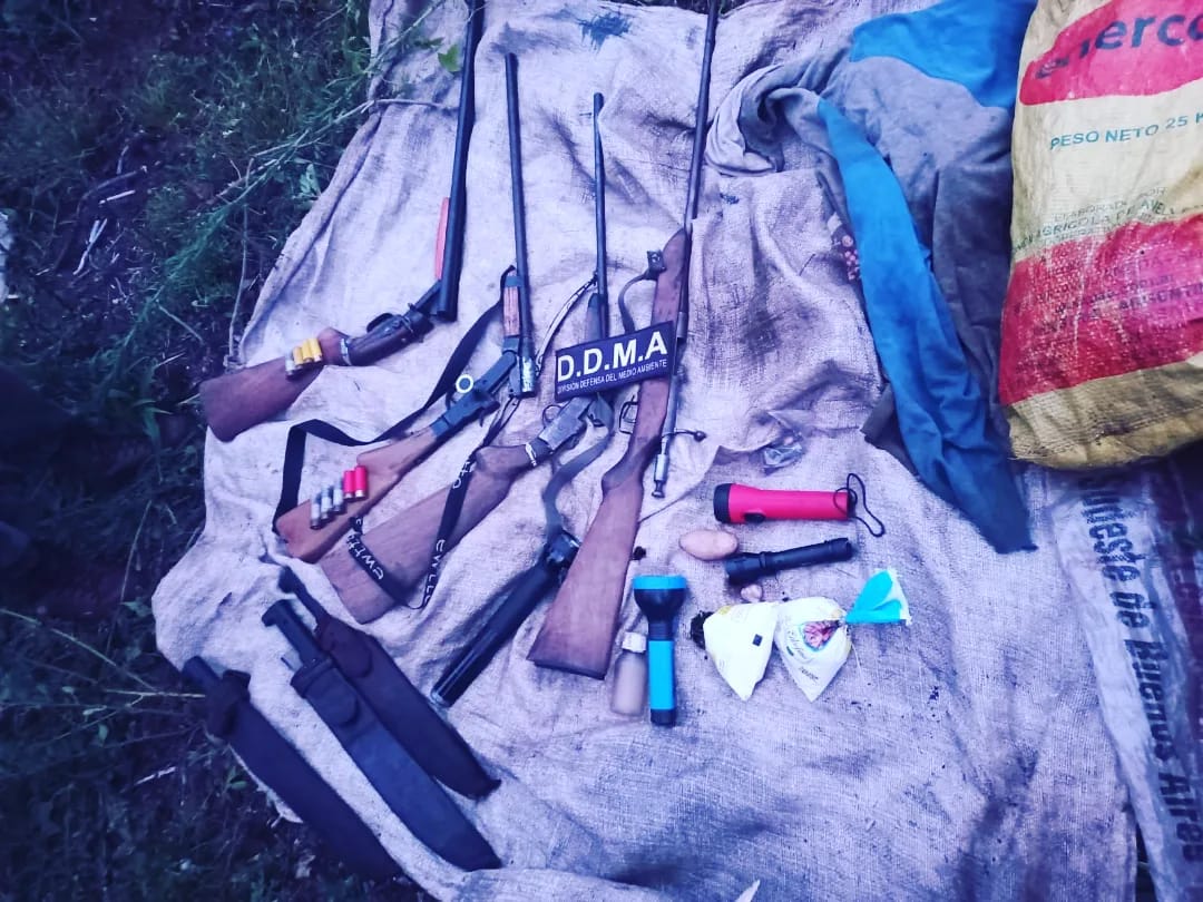 San Pedro: detuvieron a tres cazadores furtivos y desmantelaron su campamento  3 6 - cazadores furtivos 4 1 - 5