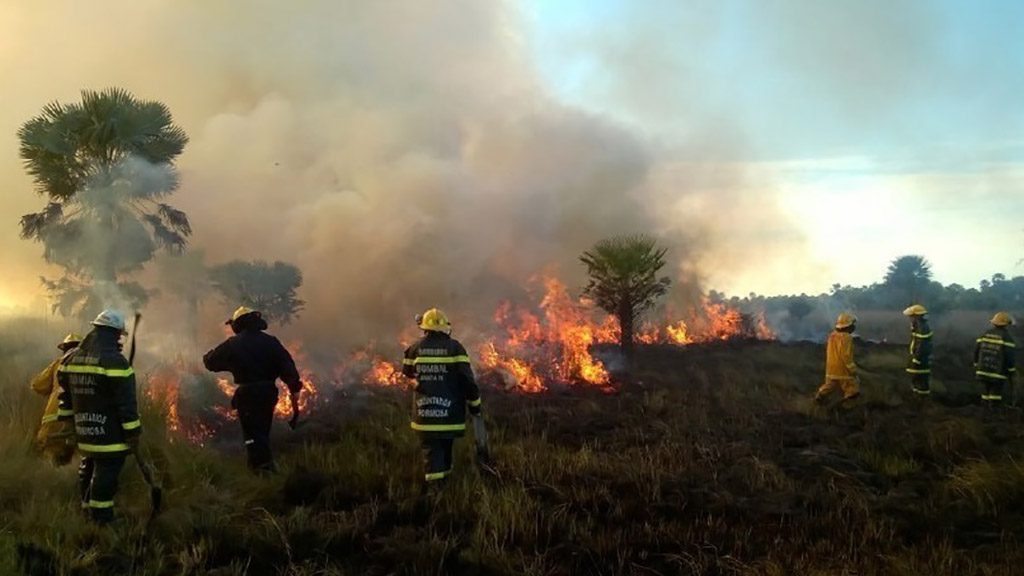 Siete localidades correntinas registran focos activos de incendios forestales