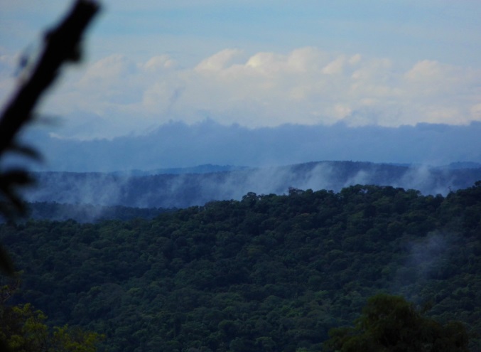 Tras las lluvias, el índice de peligrosidad de incendios es bajo en Misiones