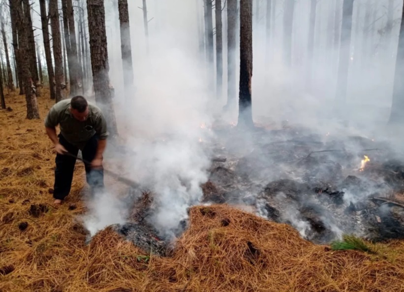 incendios2 - 15