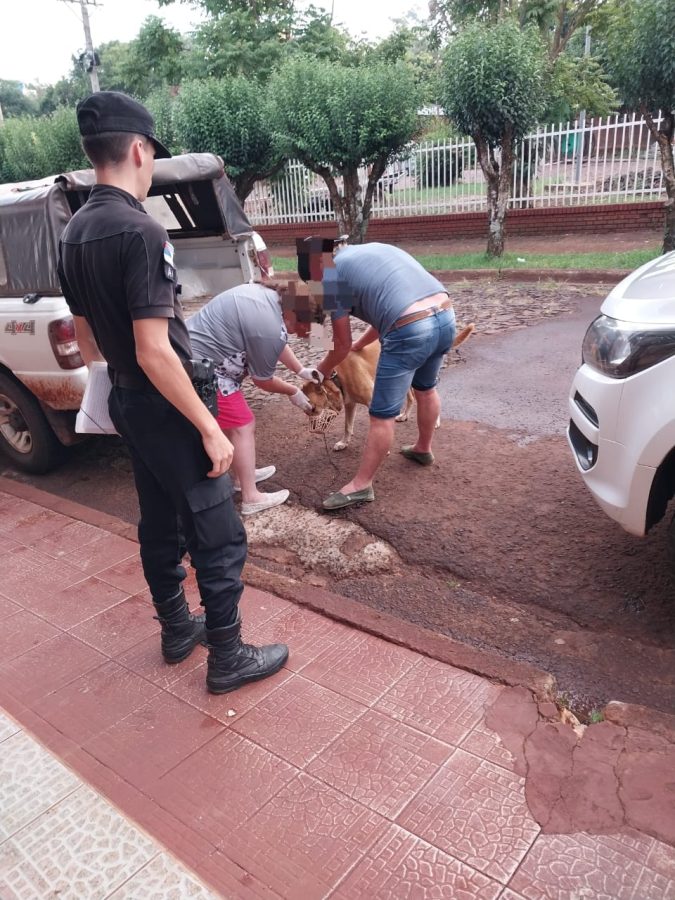 maltrato animal 1 - 11