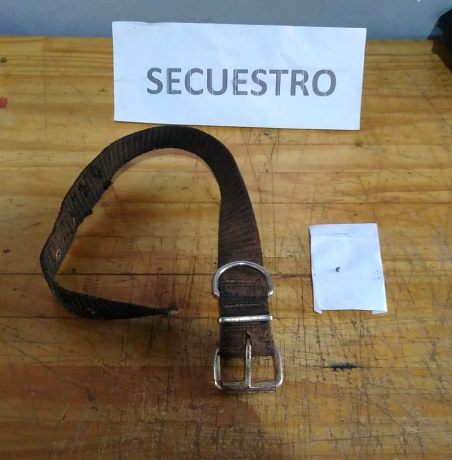 maltrato animal 2 - 9