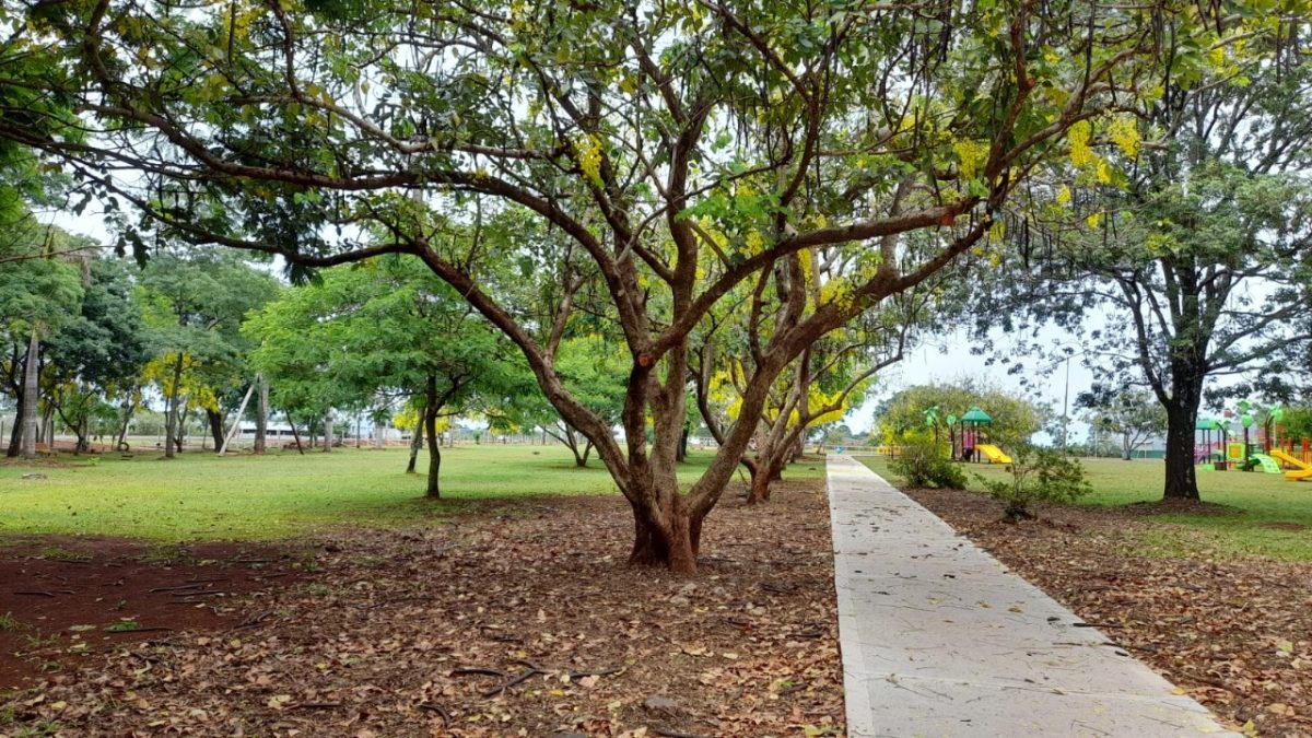 Parque de la Ciudad: un espacio verde con historia, presente y futuro en Posadas 