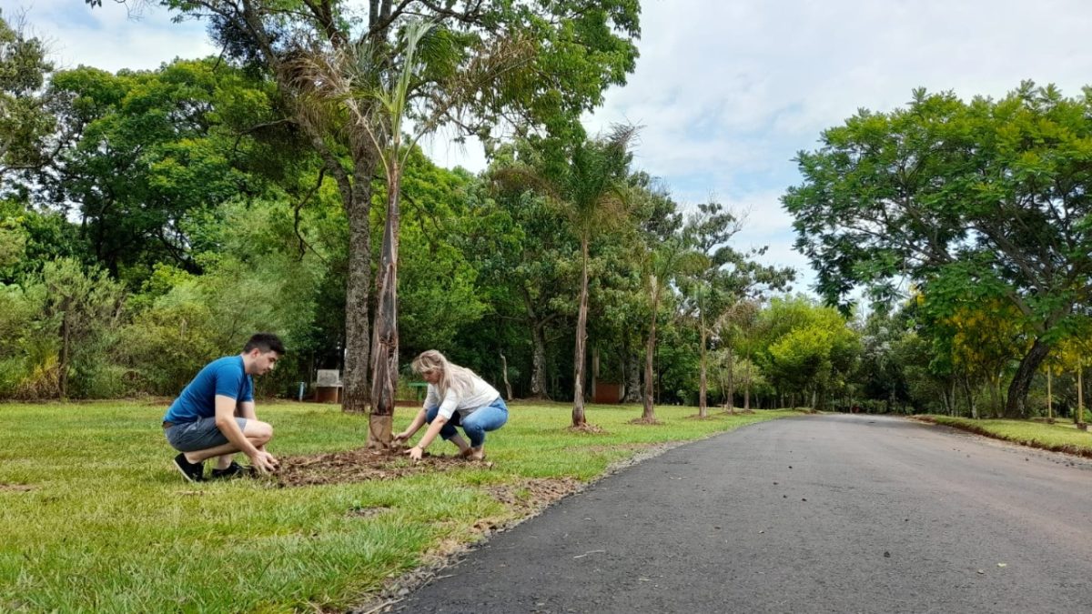 parque de la ciudad 6 - 3