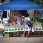 paseo comercial 10 - 18