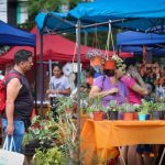 paseo comercial 9 - 16