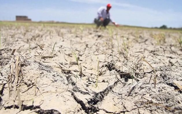 sequía en argentina