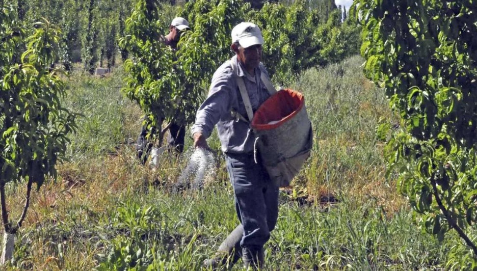 Se lanzan becas universitarias para hijos de trabajadores rurales en Misiones