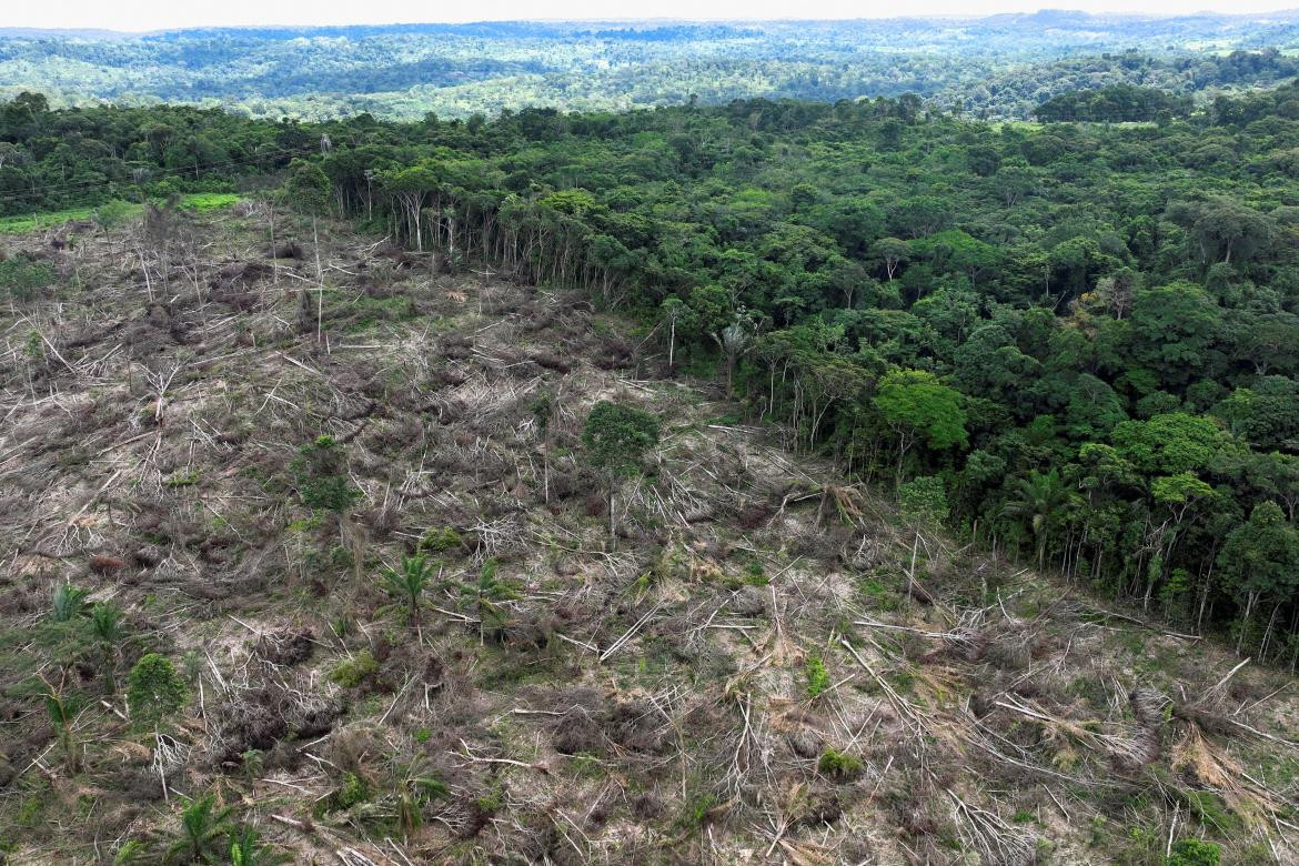 Preocupante: la deforestación en la Amazonia brasilera equivale a 29 mil canchas de fútbol