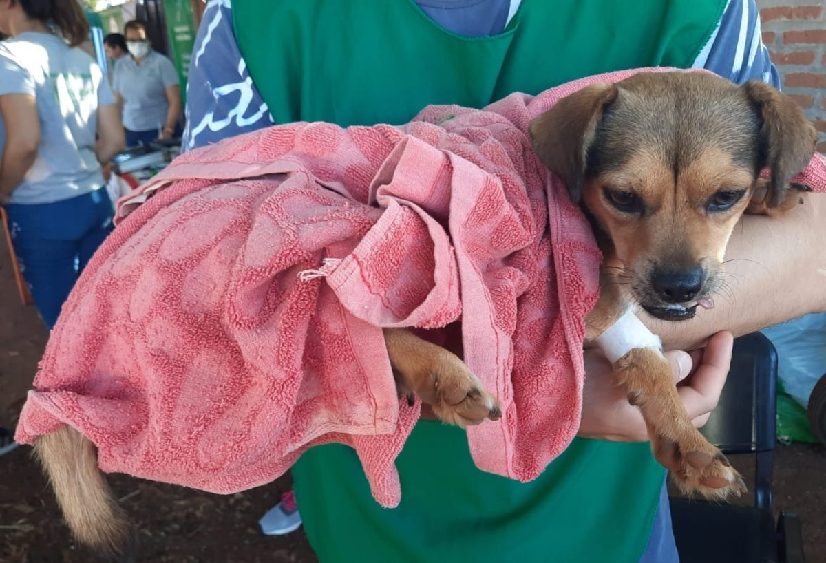 IMG 20230201 WA0089 - 1