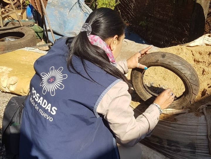Recomiendan reforzar la limpieza de los patios para evitar los criaderos del Aedes aegypti