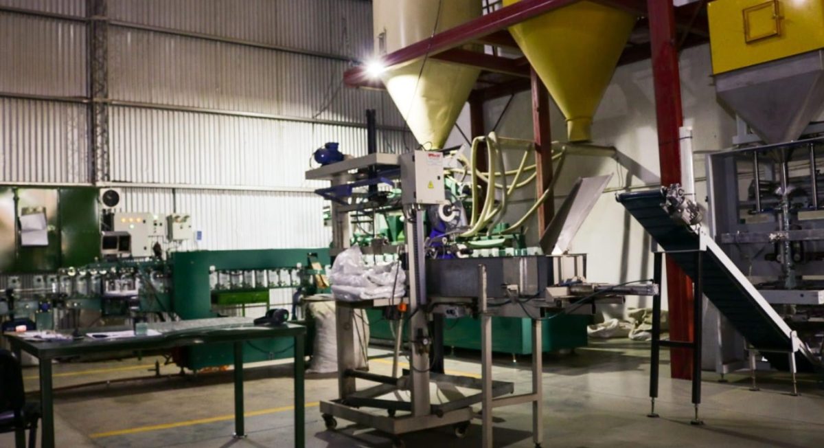 Inauguraron línea de producción de té verde para fortalecer la exportación