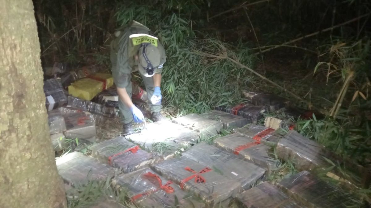 Secuestraron seis toneladas de marihuana en Santo Pipó y Jardín América