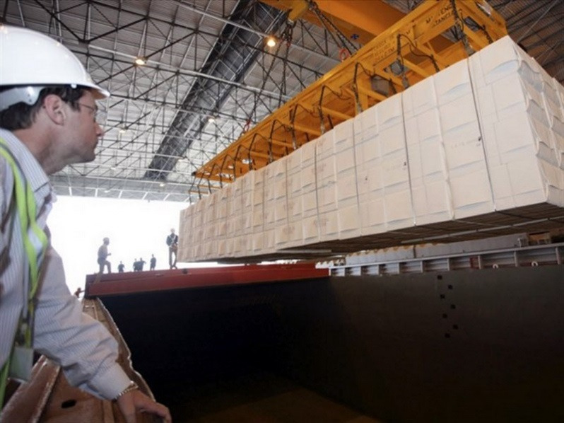 Indican que las exportaciones de celulosa aumentaron un 91% en enero