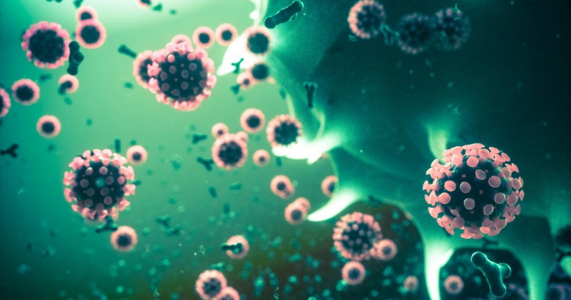 Aseguran que contagiarse de coronavirus da inmunidad por meses contra todas las variantes