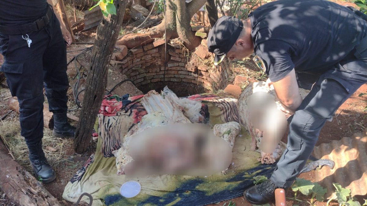 Productores y la Policía trabajan de manera articulada para la prevención del robo de animales