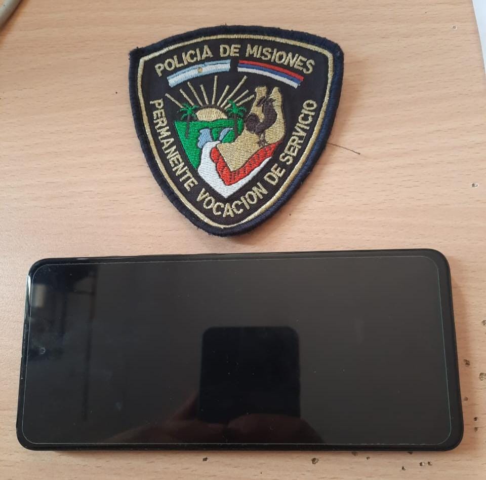 detenidos y elementos recuperados 1 - 1