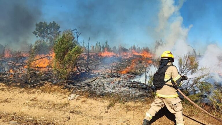 Declararon estado de catástrofe por los incendios en Chile
