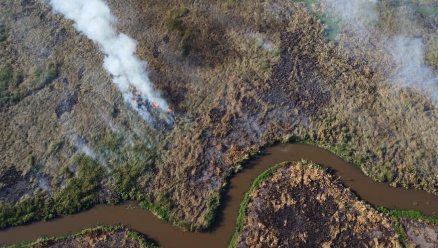 incendios en el iberá