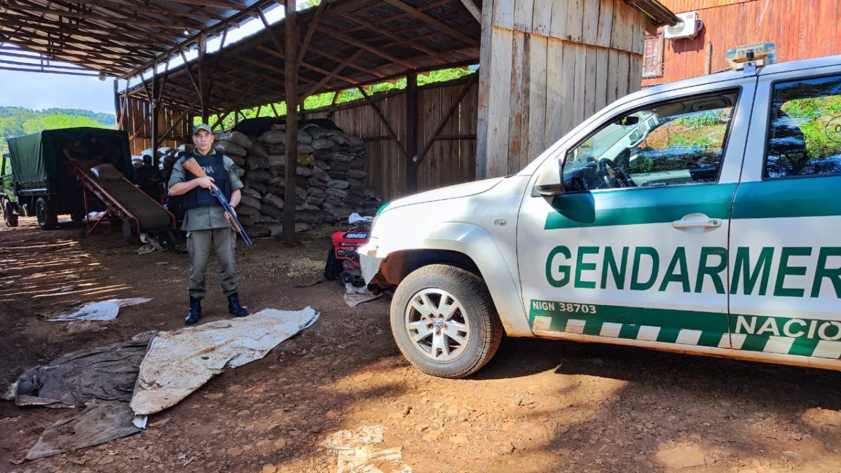 Incautan más de 75 toneladas de soja tras seis allanamientos en Misiones