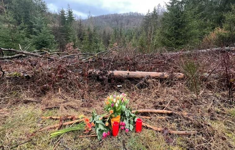 Alemania: dos niñas de 12 y 13 años asesinaron a puñaladas a una compañera