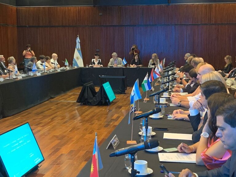 Misiones dijo presente en la reunión conjunta del COFESA y el COFECyT 1 2 - Cofesa 4 768x576 1 - 1