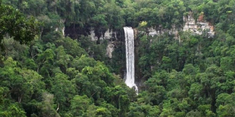 Veteranos de Malvinas ingresarán gratis el domingo a Parques Provinciales y Reducciones Jesuíticas