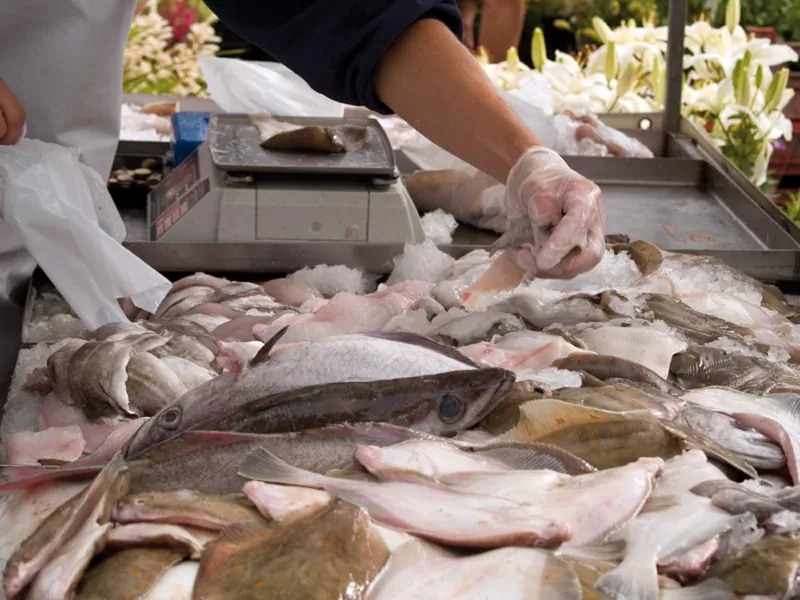 Posadas: recomendaciones para la adquisición y consumo de pescados en Semana Santa