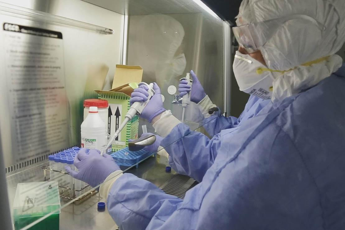 Estados Unidos: alerta sanitaria por la propagación de un hongo potencialmente mortal