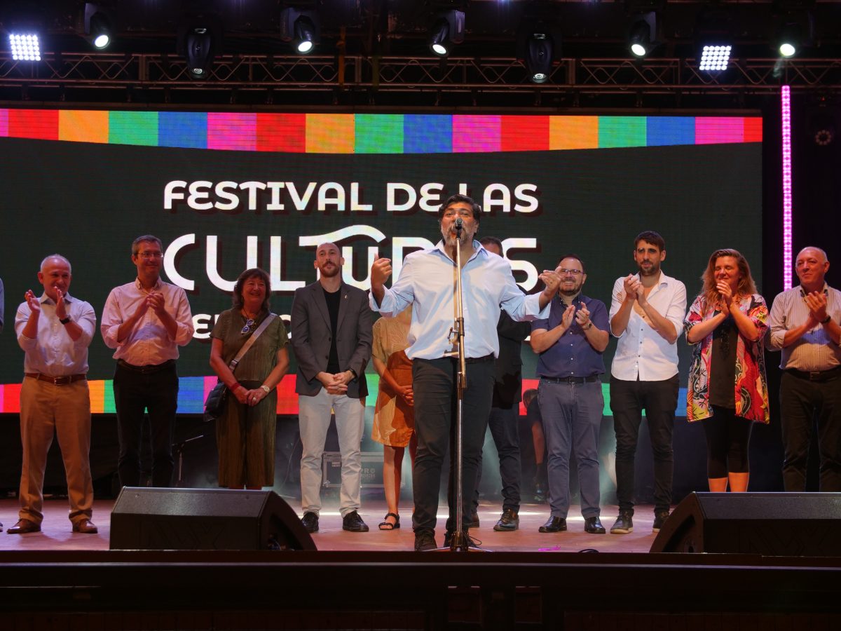 consejo de la cultura