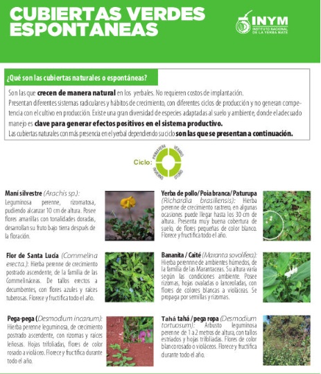 ¿Cuáles son las cubiertas naturales que ayudan a cuidar el suelo? 1 2 - cubiertas 2 - 1