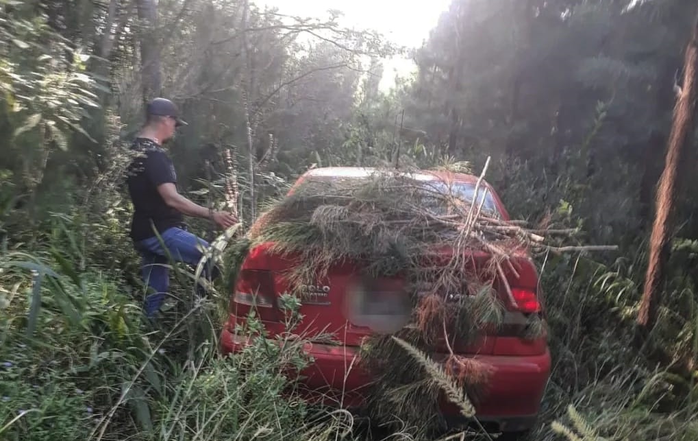 Denunció el robo de su auto: el principal sospechoso es su cuñado