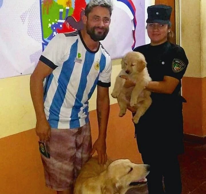 Posadas: policías recuperaron a dos labradores que fueron robados de una vivienda 1 2 - dos labradores 2 - 1