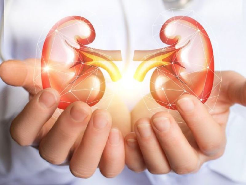 Aseguran que sólo una de cada 10 personas con enfermedad renal crónica sabe su condición