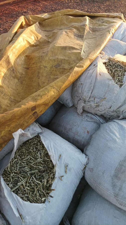 Andresito: el INYM intervino más de 7 mil kilos de palitos de yerba en un procedimiento 2 4 - palitos de yerba 1 - 3